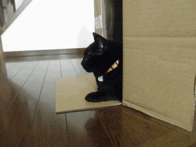 c0136736_1925078.gif