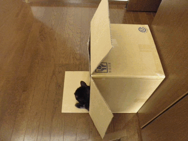c0136736_1932178.gif