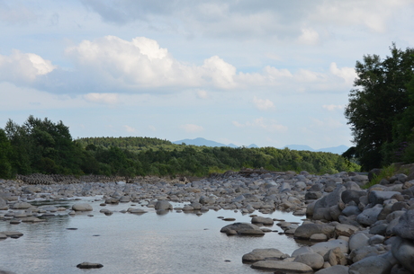 d0156438_17453866.jpg