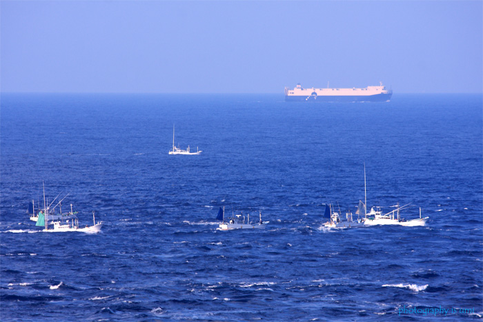 e0083238_2202469.jpg