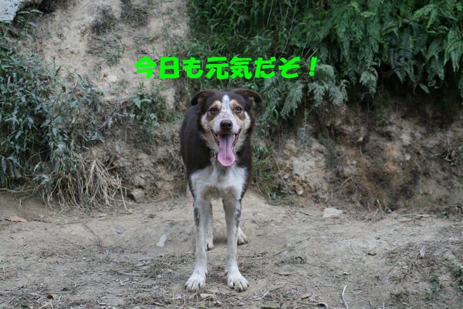 d0077740_20241918.jpg