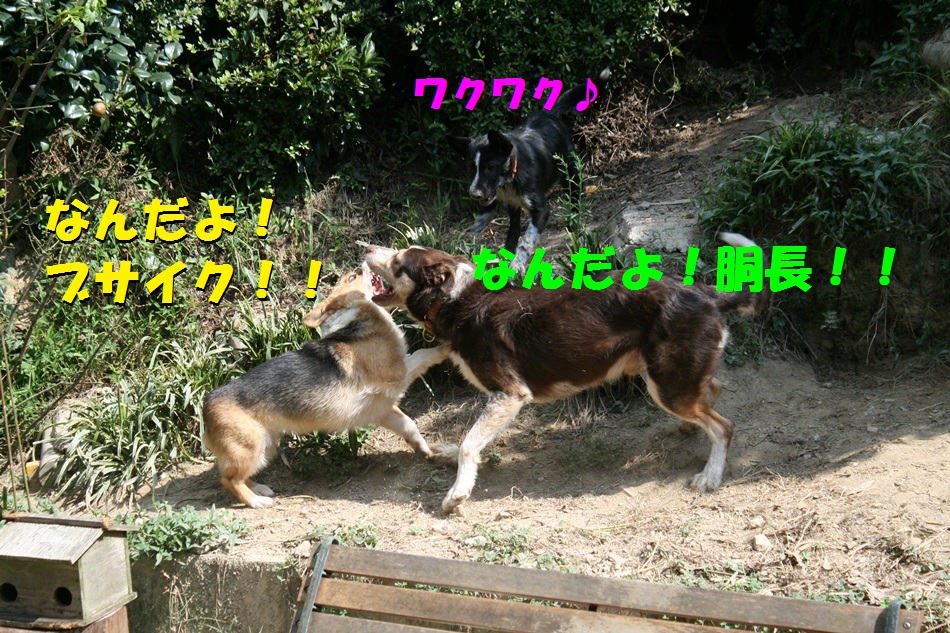 d0077740_20252185.jpg