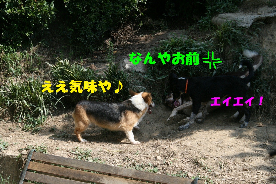 d0077740_20262724.jpg