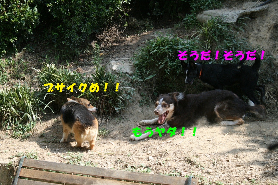 d0077740_20295256.jpg