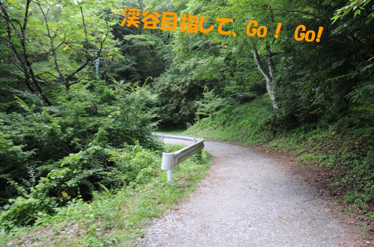 c0147241_04381.jpg