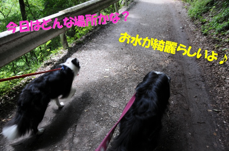 c0147241_044596.jpg