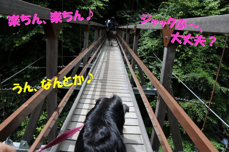 c0147241_045567.jpg