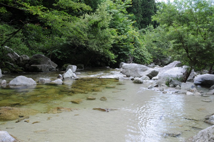 c0147241_051249.jpg