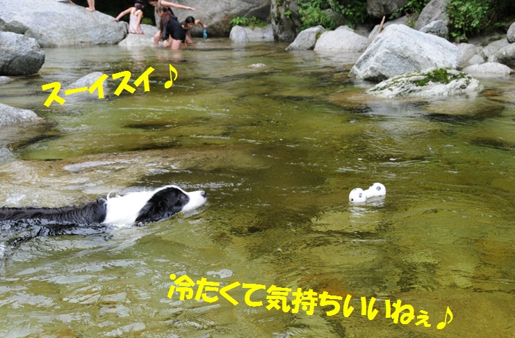 c0147241_053752.jpg