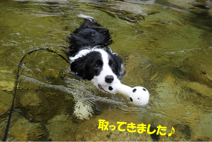 c0147241_054926.jpg