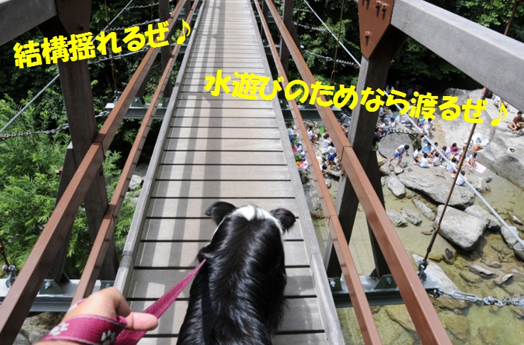 c0147241_05641.jpg