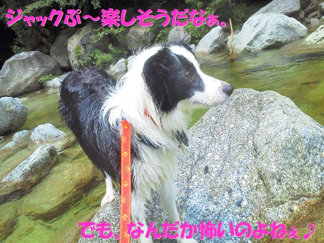 c0147241_06342.jpg
