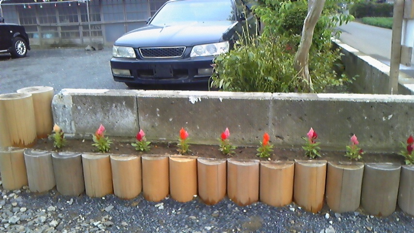 a0204348_9221810.jpg