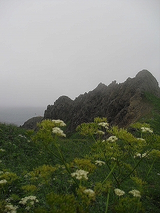 f0009451_15444724.jpg
