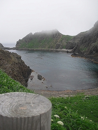 f0009451_15453018.jpg