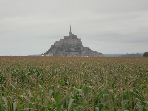 c0206352_619506.jpg