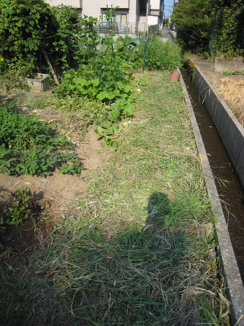 e0121558_0551748.jpg