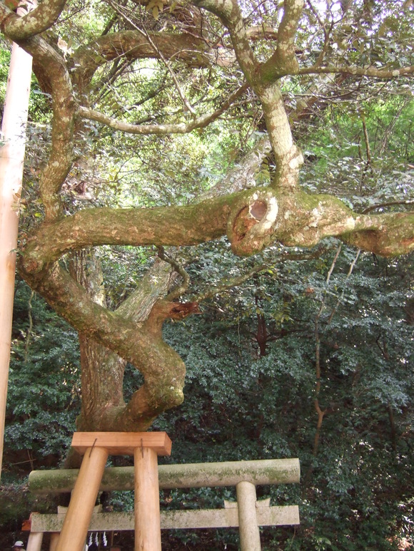 e0009760_9574079.jpg