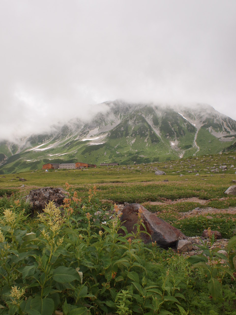 e0158363_081710.jpg