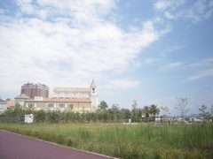 d0083265_2020086.jpg