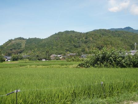 b0048766_14454236.jpg