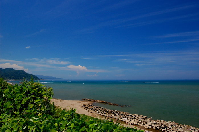 d0172270_1114893.jpg