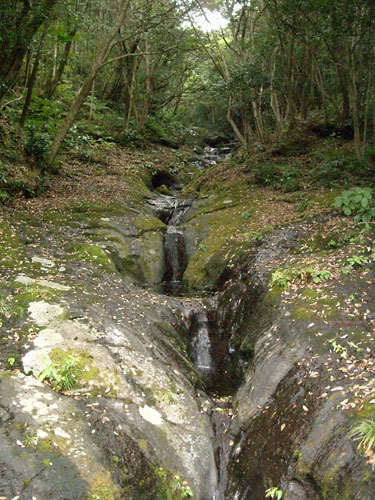 e0097770_2152047.jpg