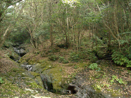 e0097770_22451230.jpg