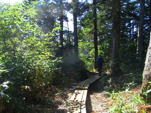 f0202271_12435643.jpg