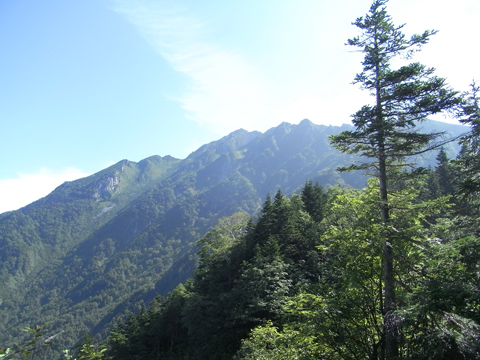 f0202271_12483831.jpg