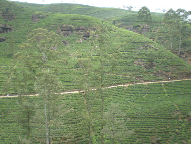 d0017172_227572.jpg