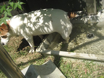 e0106372_9231679.jpg