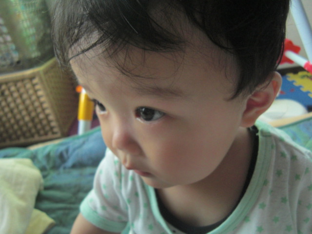 f0200773_941456.jpg