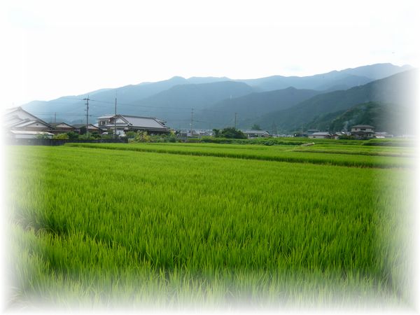d0175974_1017526.jpg