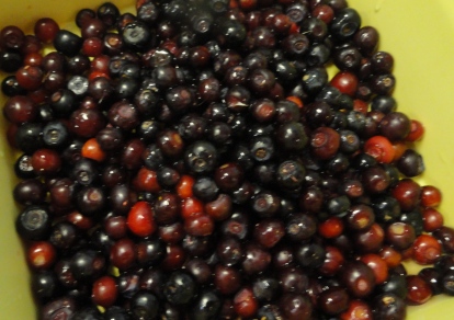 a0047577_7371490.jpg