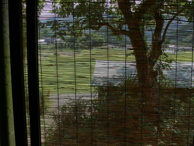 b0042882_02007.jpg