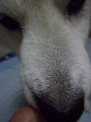 c0123890_2115493.jpg
