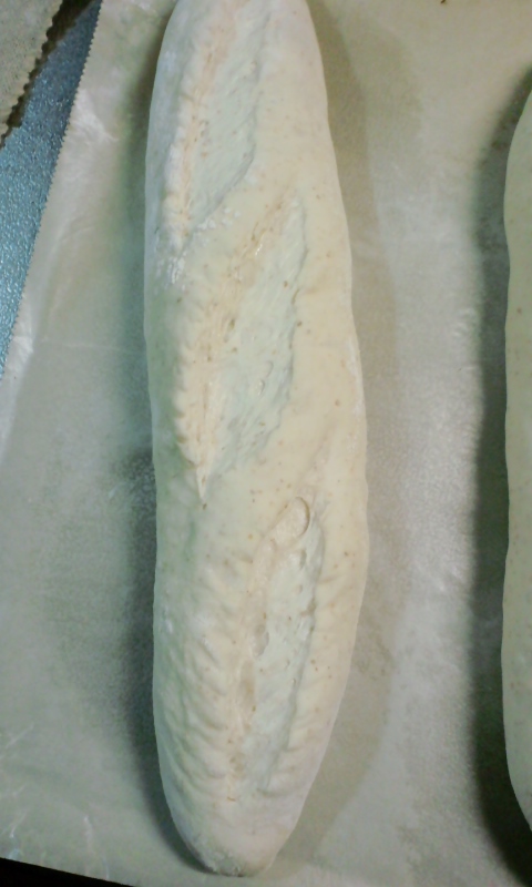e0014000_491170.jpg