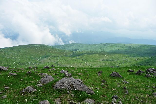 e0137200_1932324.jpg