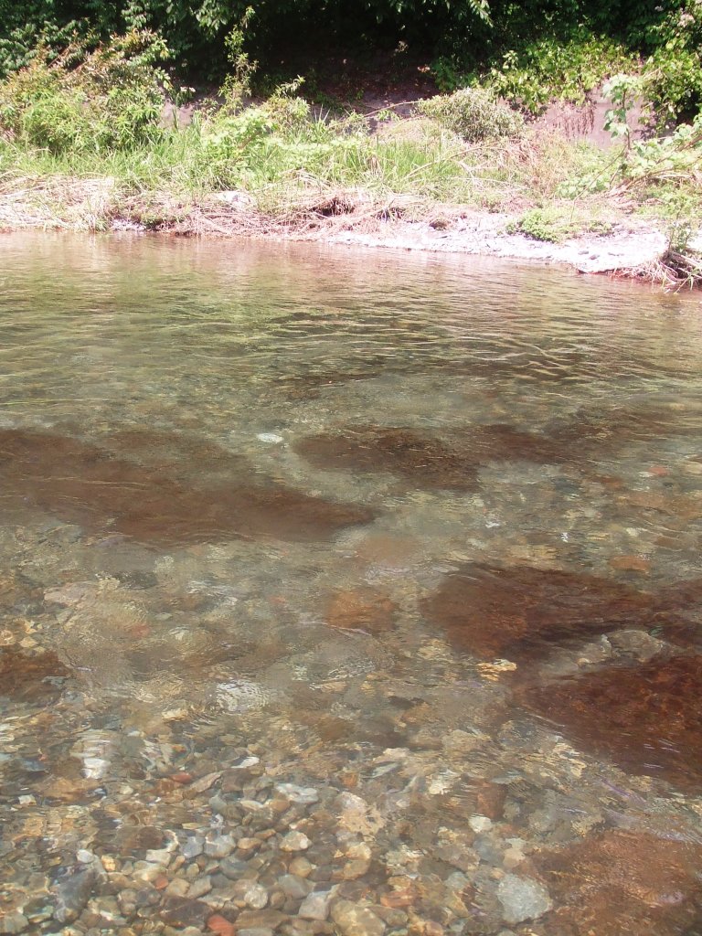 d0168604_10315474.jpg