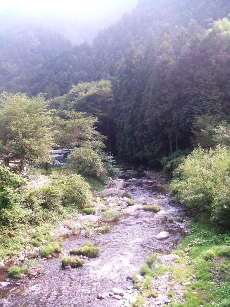d0168604_10421131.jpg