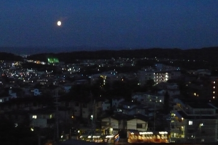 f0221708_982965.jpg