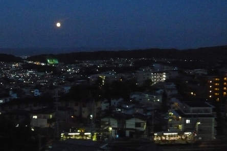 f0221708_984077.jpg