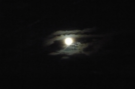 f0221708_994446.jpg