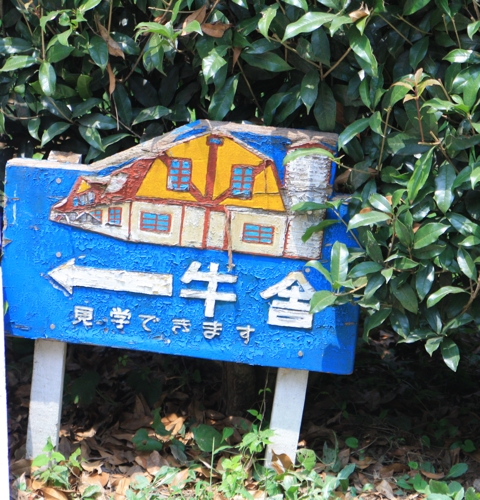 c0186410_18124563.jpg