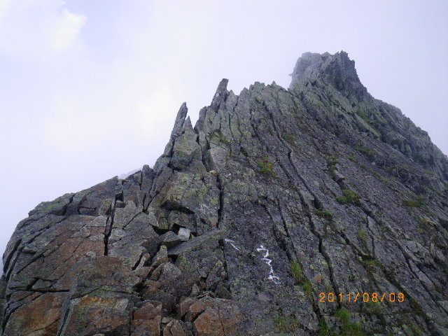 d0006512_23252891.jpg