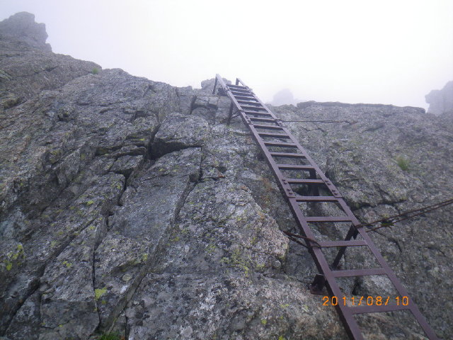 d0006512_23495540.jpg
