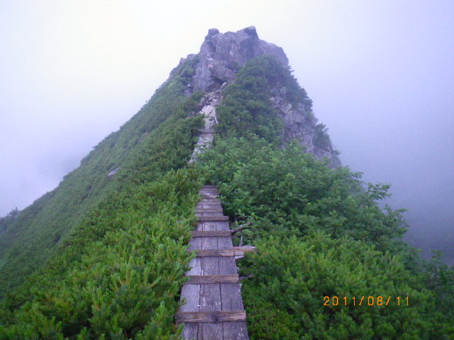 d0006512_23534124.jpg
