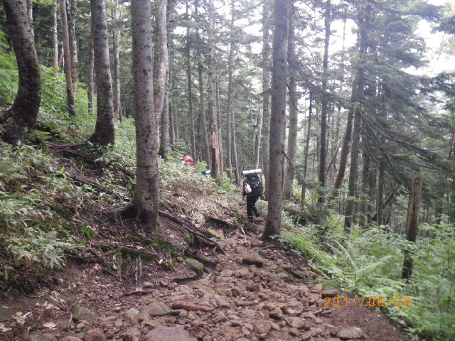 d0006512_2373955.jpg