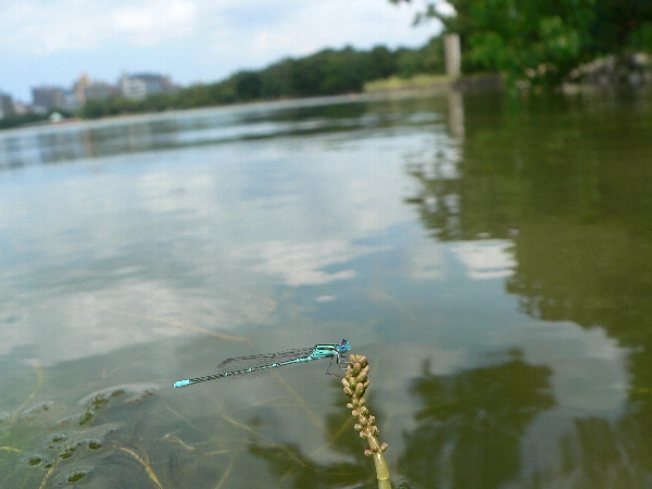 e0002314_15571354.jpg